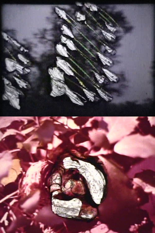 Reincarnation (2005) poster