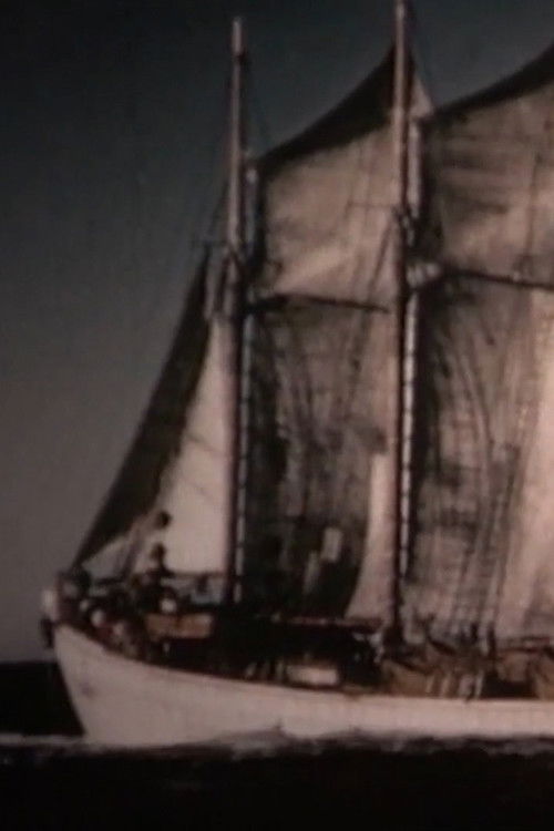 Maremória (2019) poster