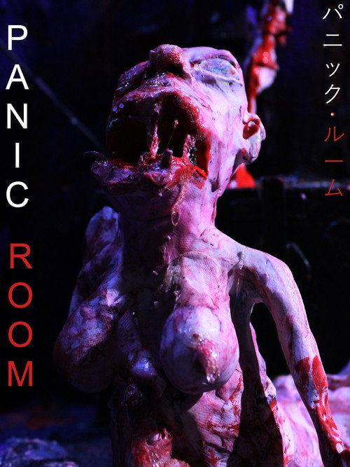 Panic Room (2020) poster