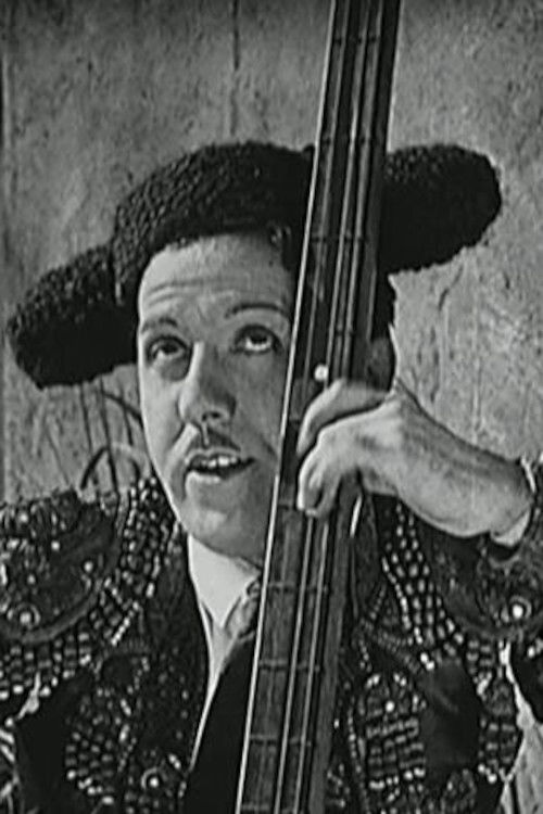 Brilliantine the Bull Fighter (1922) poster