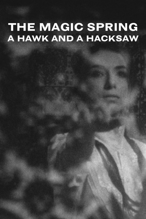A Hawk and a Hacksaw - The Magic Spring (2018) poster