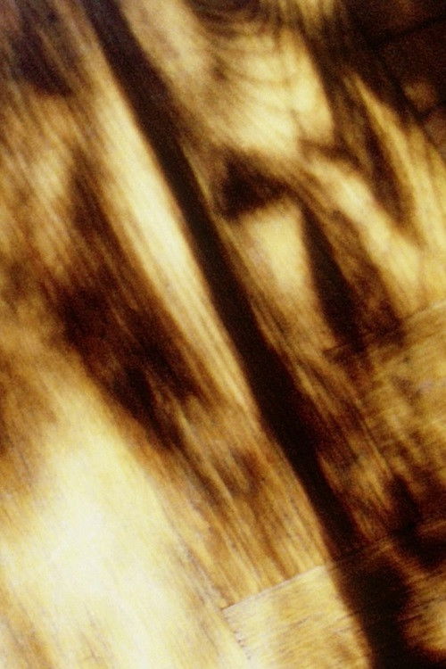 By Pain and Rhyme and Arabesques of Foraging (2013) poster