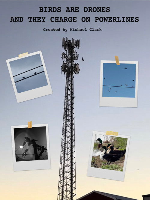 BIRDS ARE DRONES AND THEY CHARGE ON POWERLINES (2025) poster