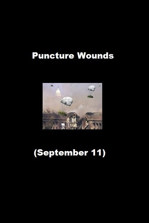 Puncture Wounds (September 11) (2008) poster