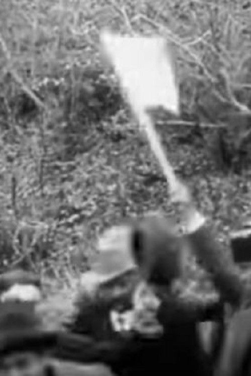 Romanska delegacija vo poseta na Gopeš (1911) poster