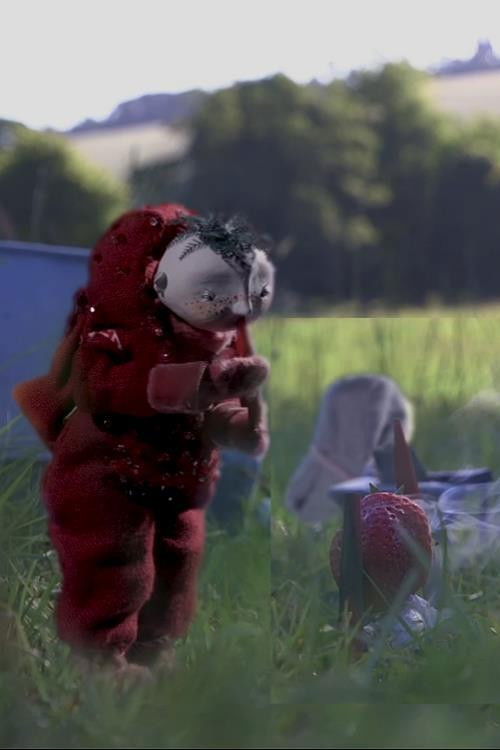 A Disappointing Excursion (2017) poster