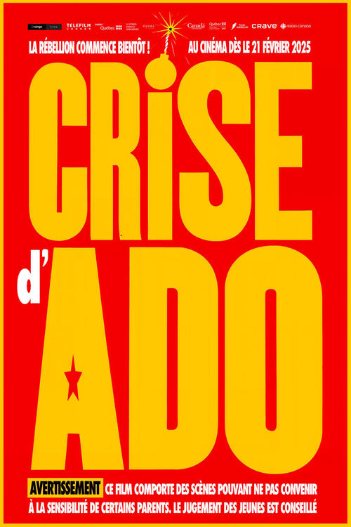 Crise d'ado (2025) poster