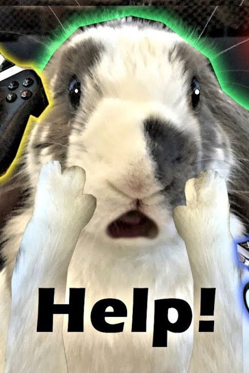 Rabbit Home Alone (2018) poster