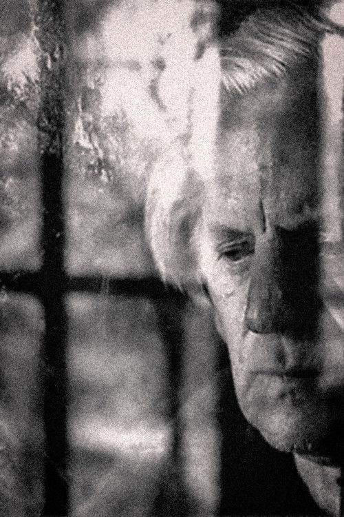 Winter (2004) poster