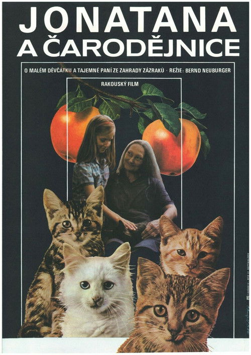 Jonathana und die Hexe (1986) poster