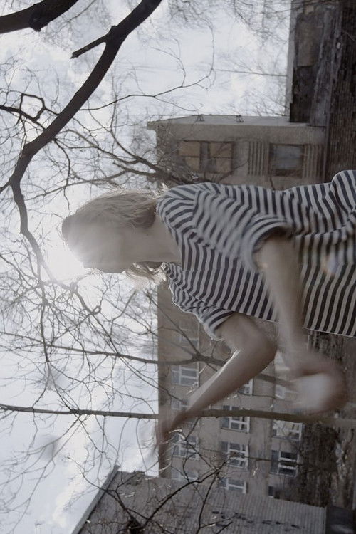 Donbas Days (2022) poster