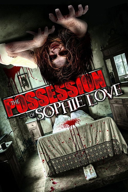 The Possession of Sophie Love (2013) poster