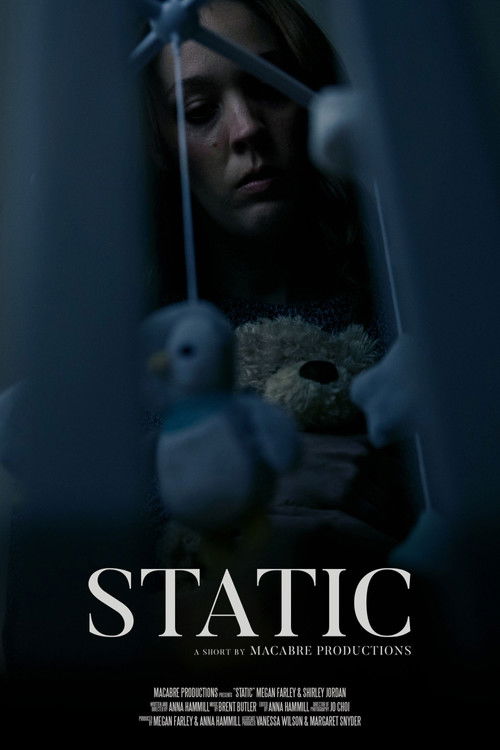 Static (2024) poster