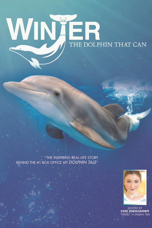 Winter, the Dolphin That Can (2013) poster