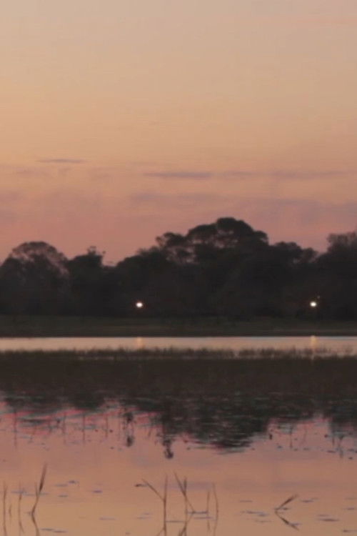 La patria de todos los tarros de colores (2013) poster