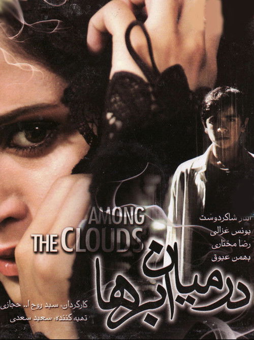 Among the Clouds (2008) poster