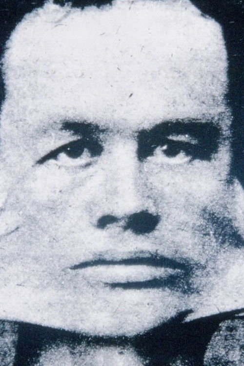 Twelve Random Developments and Other Stuff (1981) poster