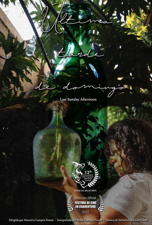 Last Sunday Afternoon (2020) poster