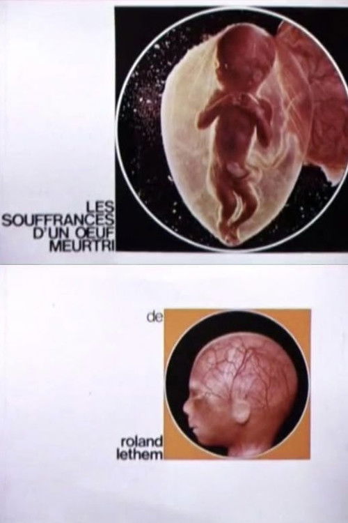 The Sufferings of a Wounded Egg (1967) poster