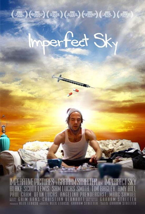 Imperfect Sky (2015) poster