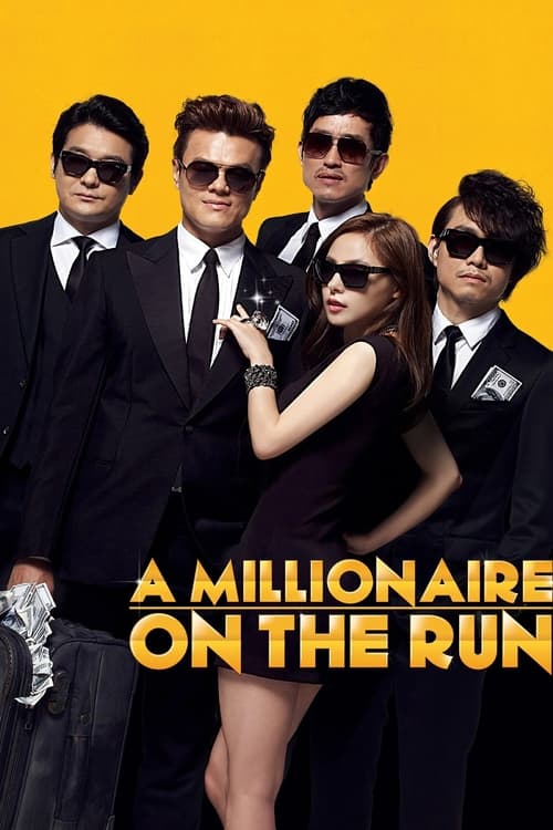 A Millionaire on the Run (2012) poster