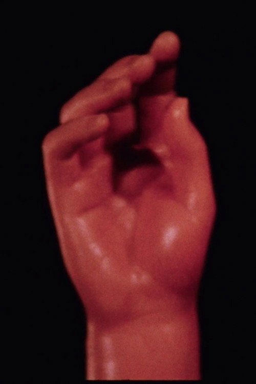 Cartoons: The Central Finger (1974) poster