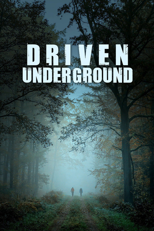 Driven Underground (2015) poster