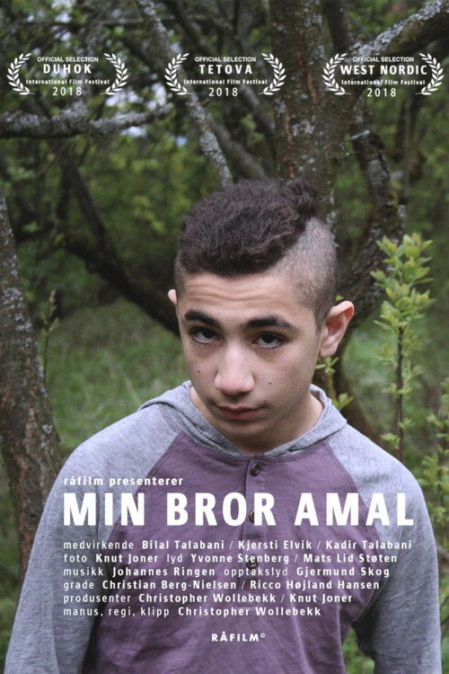 My Brother Amal (2018) poster