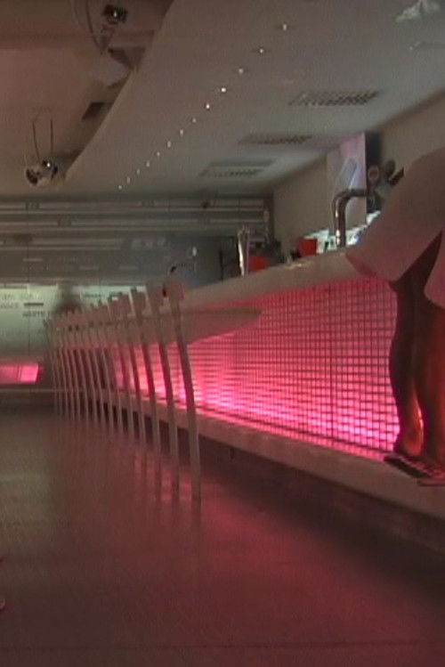 Show & Tell in the land of Milk & Honey (2007) poster