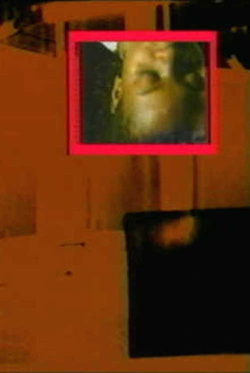 Windless Closure (1993) poster