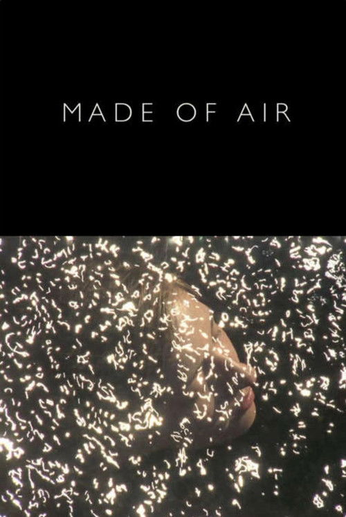 Made of Air (2014) poster