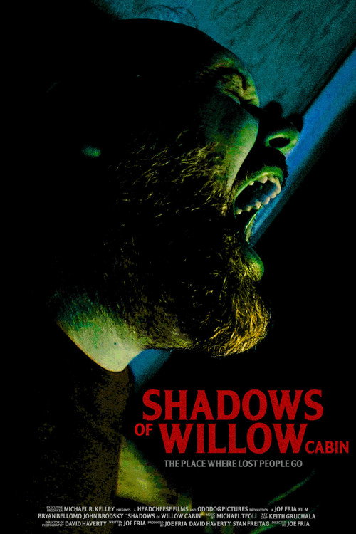 Shadows of Willow Cabin (2025) poster