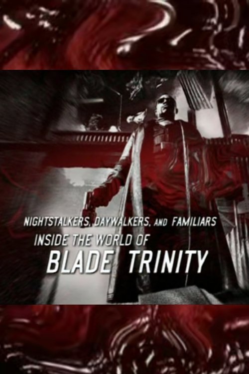 Nightstalkers, Daywalkers, and Familiars: Inside the World of 'Blade: Trinity' (2005) poster