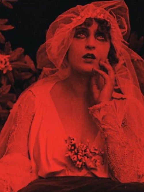 The Railway Owner (1919) poster