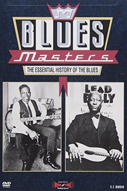 Blues Masters - The Essential History of the Blues (1993) poster