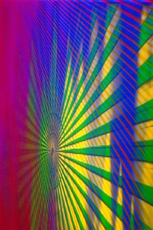 #11, Marey ↔ Moiré (1999) poster