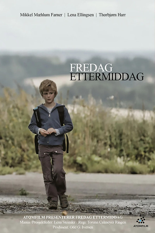 Fredag ettermiddag (2013) poster