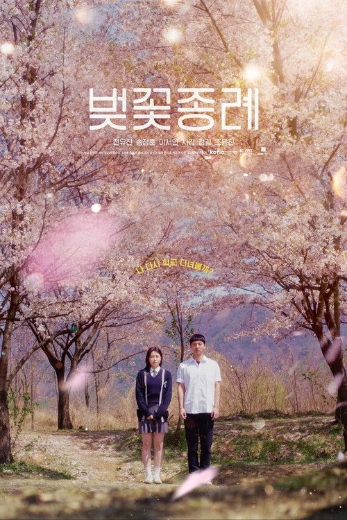 벚꽃 종례 (2025) poster