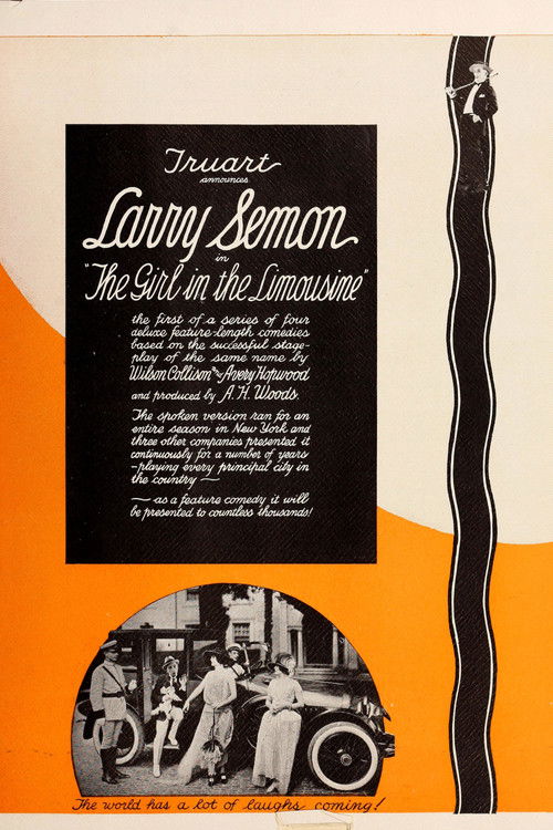 The Girl in the Limousine (1924) poster