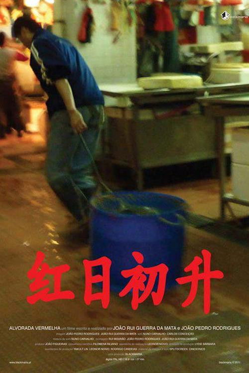 Red Dawn (2011) poster