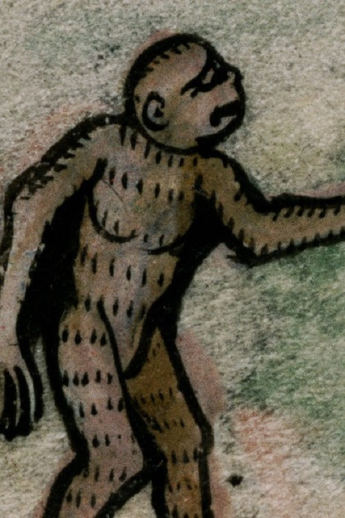 Neighboring Animals (2024) poster