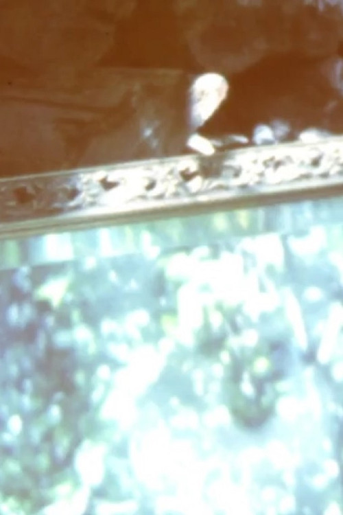 ¿Ahora es cuándo? (2020) poster