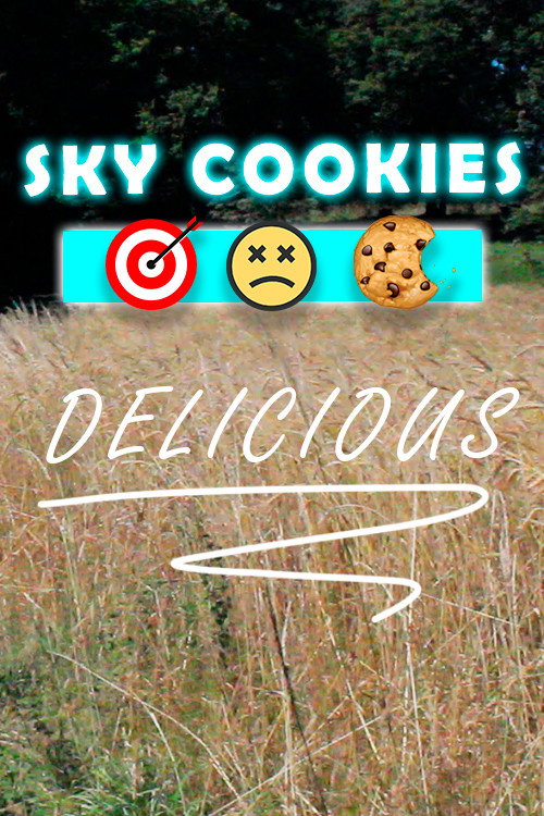 Sky cookies (2020) poster