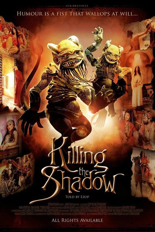 Killing the Shadows (2006) poster