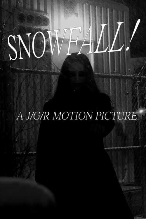 Snowfall poster