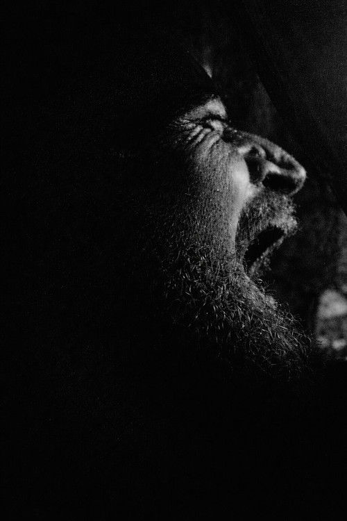 So Dear, So Lovely (2019) poster