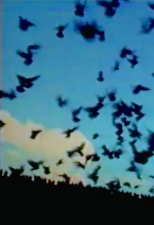 Glueman (1989) poster