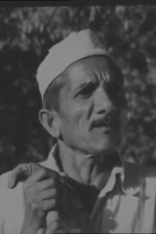 Good Citizen (1958) poster