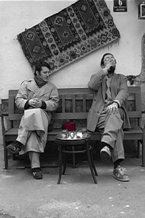 Oriental Dream (2010) poster