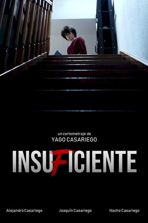 Insuficiente (2020) poster